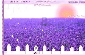 浙大爱丁堡大学录取分数线游戏画面