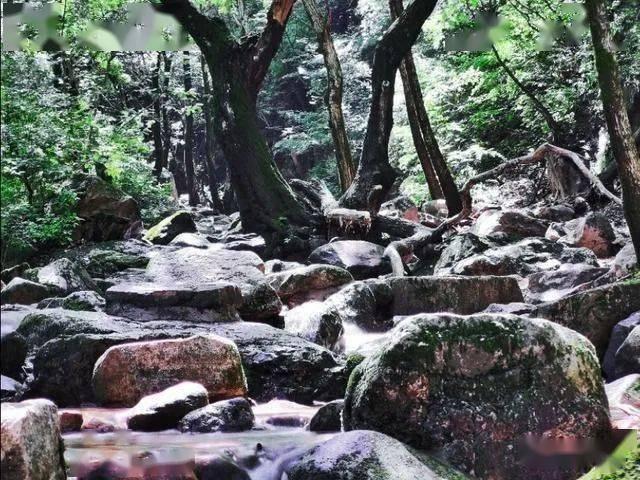 春运期间,甘肃新增加密航线航班